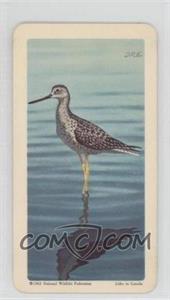 1962 Brooke Bond Red Rose Birds of North America - Tea [Base] - Canadian Black Backs #39 - Greater Yellowlegs