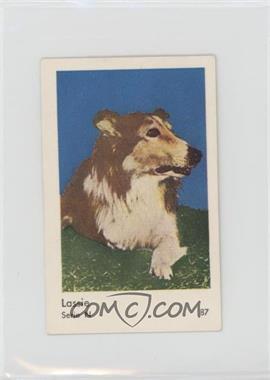 1962 Dutch Gum Serie N - [Base] #87 - Lassie