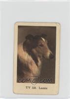 Lassie [COMC RCR Poor]
