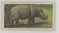 Sumatran Rhinoceros [Good to VG‑EX]
