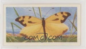 1964 Brooke Bond Butterflies of the World - [Base] #46 - Dismorphia jethys