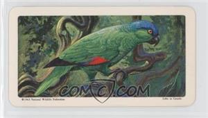 1964 Brooke Bond Red Rose Tropical Birds - Tea [Base] - Canadian Black Backs #16 - Mealy Parrot