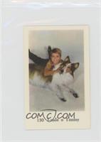 Lassie o Timmy