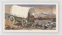 Ox Wagon