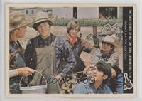 The Monkees