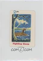 Fighting Storm [COMC RCR Poor]