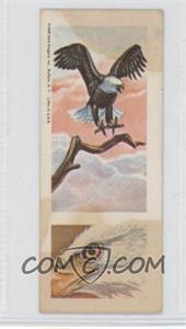 1968 Nabisco/Sugar Daddy Wildlife Collection Series 6 - Food Issue [Base] #14 - American or Bald Eagle [Good to VG‑EX]