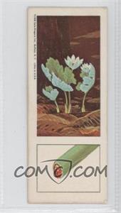 1968 Nabisco/Sugar Daddy Wildlife Collection Series 6 - Food Issue [Base] #35 - Bloodroot [Good to VG‑EX]