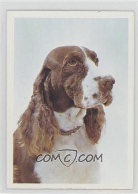 1971 Burgerbits Dog Food - [Base] #22 - English Springer Spaniel [Good to VG‑EX]