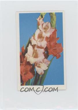 1972 Trucards Flowers - [Base] #12 - Gladiolus