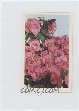 1972 Trucards Flowers - [Base] #6 - Azalea (Rhododendron)