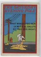 The Saturday Evening Pole [Good to VG‑EX]