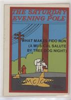 The Saturday Evening Pole