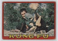 Kung Fu (Puzzle Back)