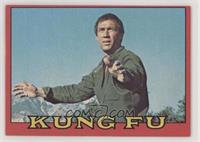 Kung Fu