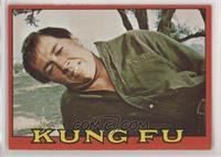 Kung Fu