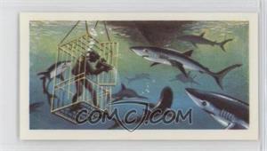 1974 Brooke Bond The Sea: Our Other World - Tea [Base] #15 - Blue Shark