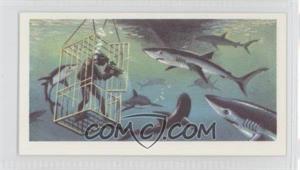 1974 Brooke Bond The Sea: Our Other World - Tea [Base] #15 - Blue Shark
