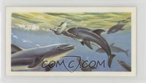 1974 Brooke Bond The Sea: Our Other World - Tea [Base] #26 - Dolphins