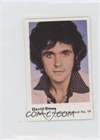 David Essex