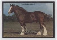 The Clydesdale