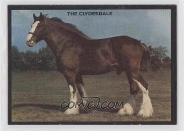 1974 Kellogg's Sugar Pops - Horse Trading Cards #CLYS - The Clydesdale