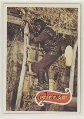 1975 Topps Planet of the Apes - [Base] #44 - Descent To Danger