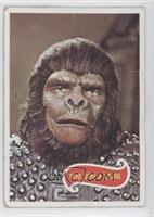 Urko, Gorilla General [COMC RCR Poor]