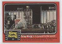 King Kong is displayed to the world!