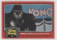 Kong prowls New York in search of Dwan