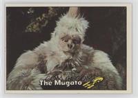 The Mugato