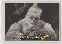 The Mugato