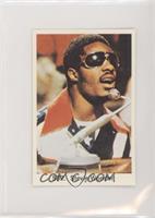 Stevie Wonder