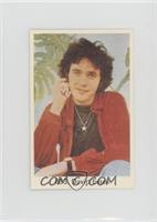 David Essex