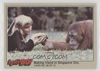 Making a friend in Singapore Zoo