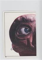 E.T. Head Shot (Left)