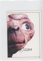 E.T. Head Shot (Right)