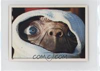 E.T. Eyes through Blanket