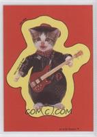 Guitarist Cat