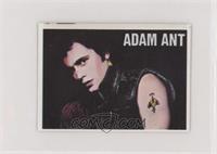 Adam Ant