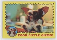 Poor Little Gizmo!
