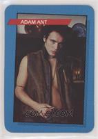 Adam Ant