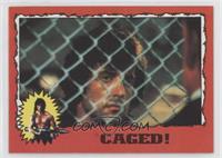 Caged!
