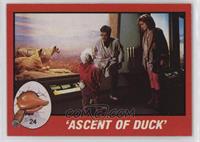 'Ascent of Duck'