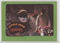 Little Shop of Horrors (Two Star Back)