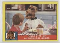 Tastes a lot like Calicoquille-St. Jacques