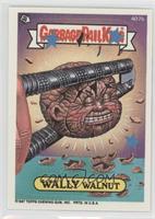 Wally Walnut