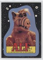 Alf