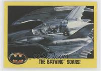 The Batwing Soars!