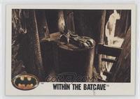 Within the Batcave